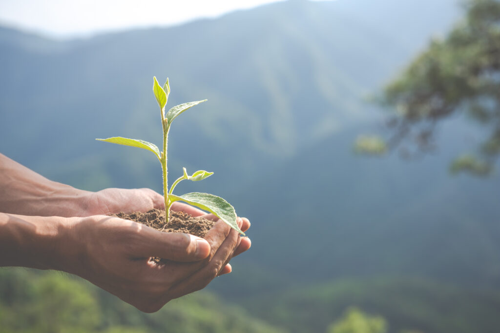 concept of environmental conservation in the garden for children.